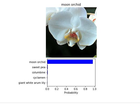 Image Classifier Project